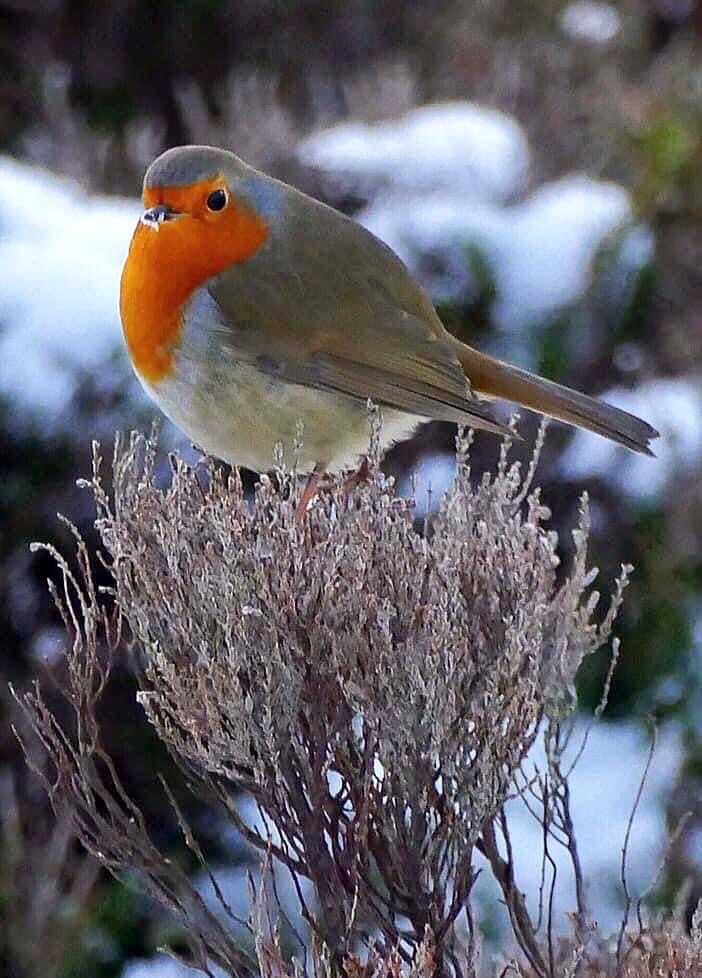 This image has an empty alt attribute; its file name is img_3454.jpg